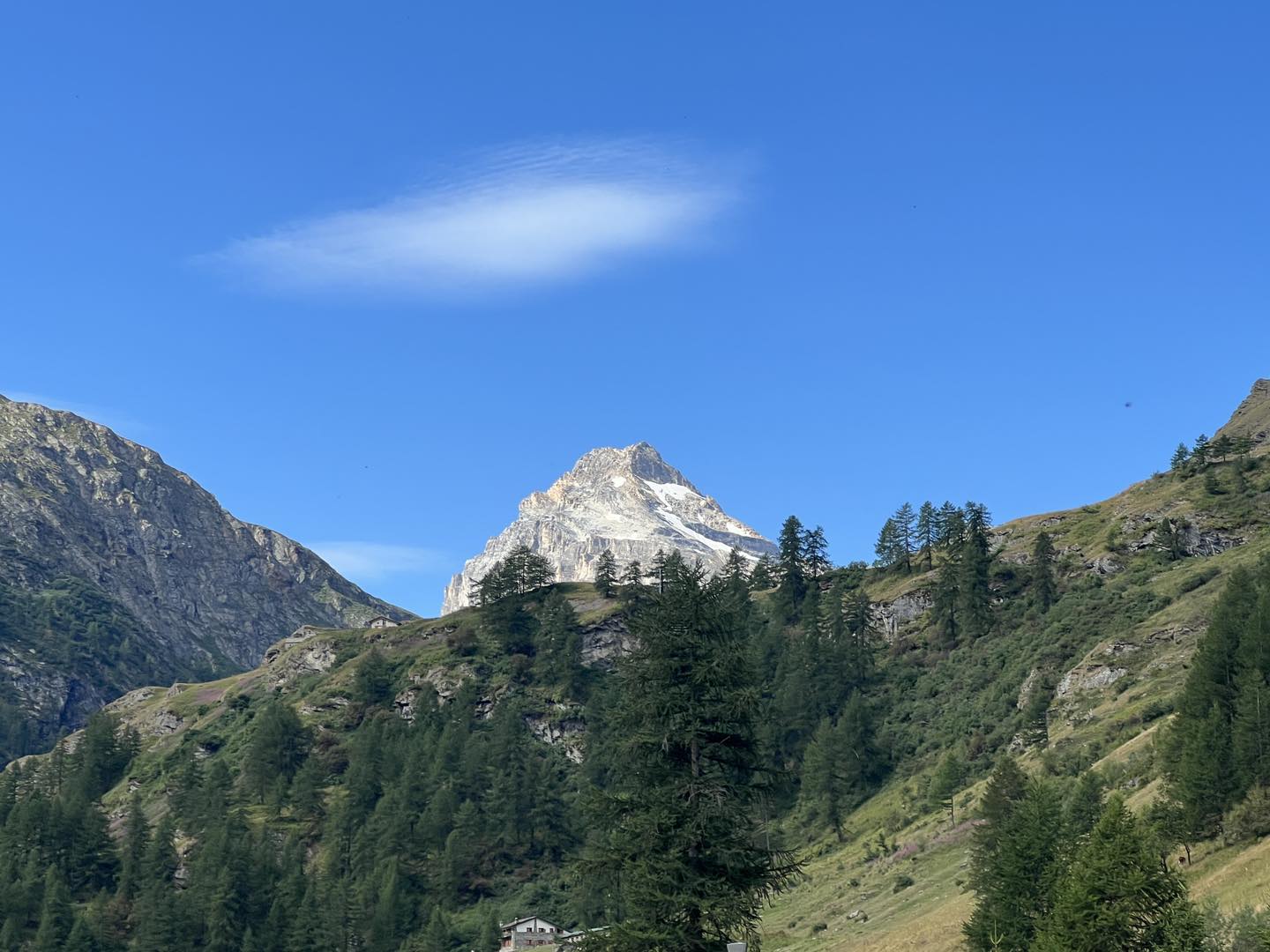 clicca l'immagine per ingrandire