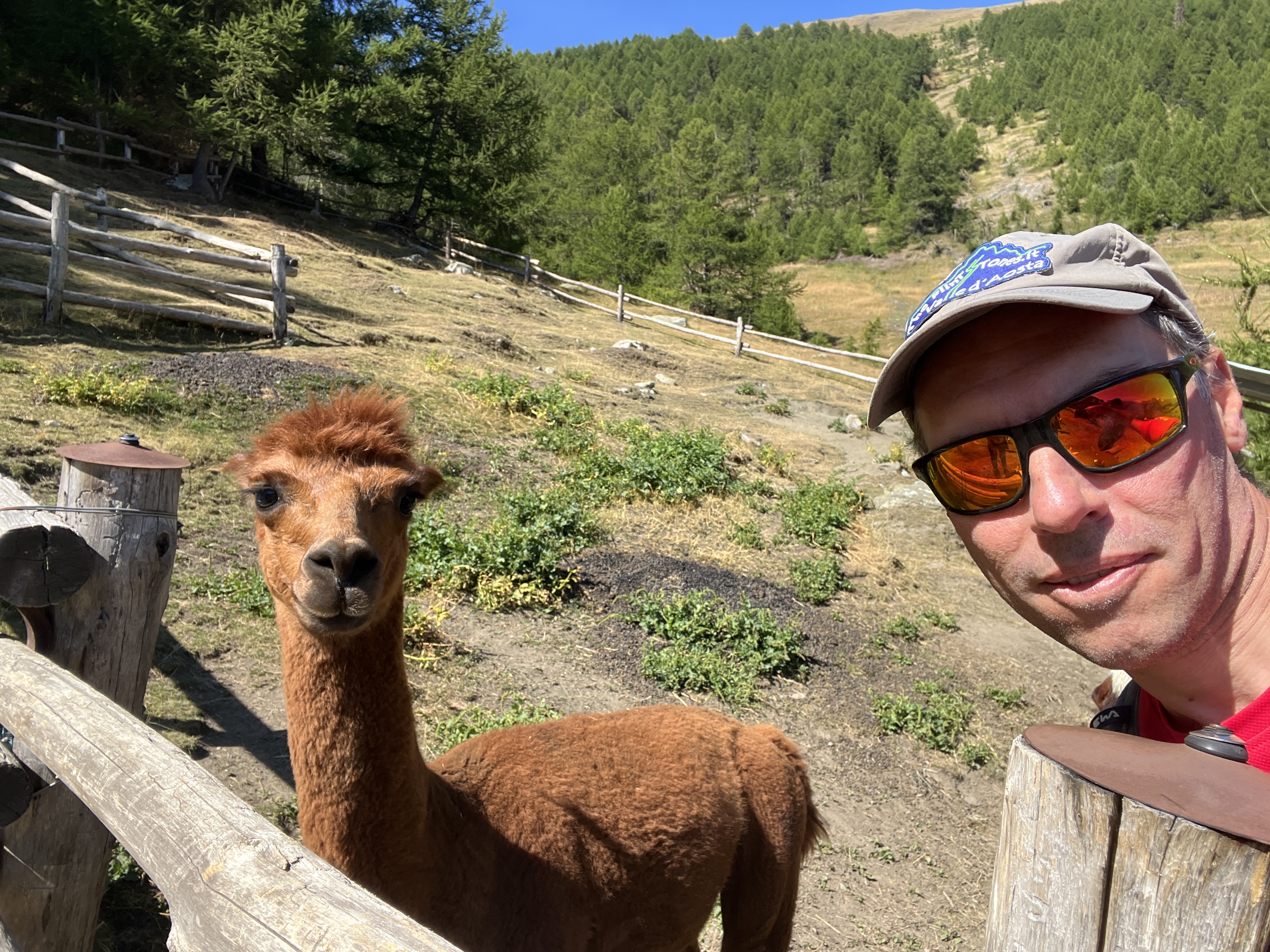 clicca l'immagine per ingrandire