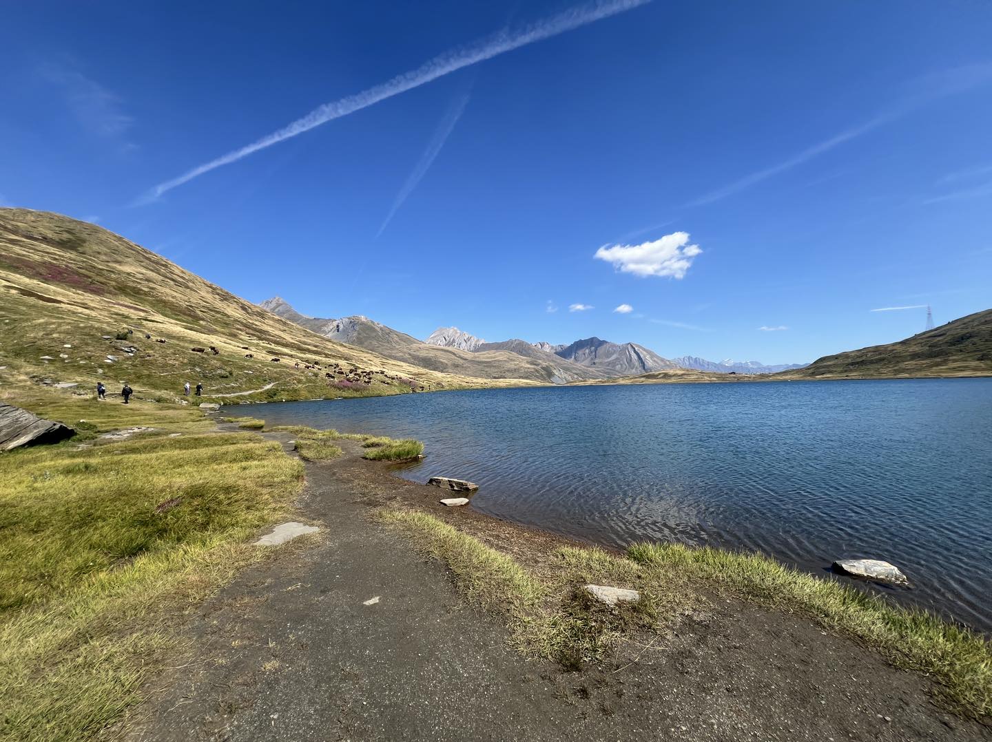 clicca l'immagine per ingrandire