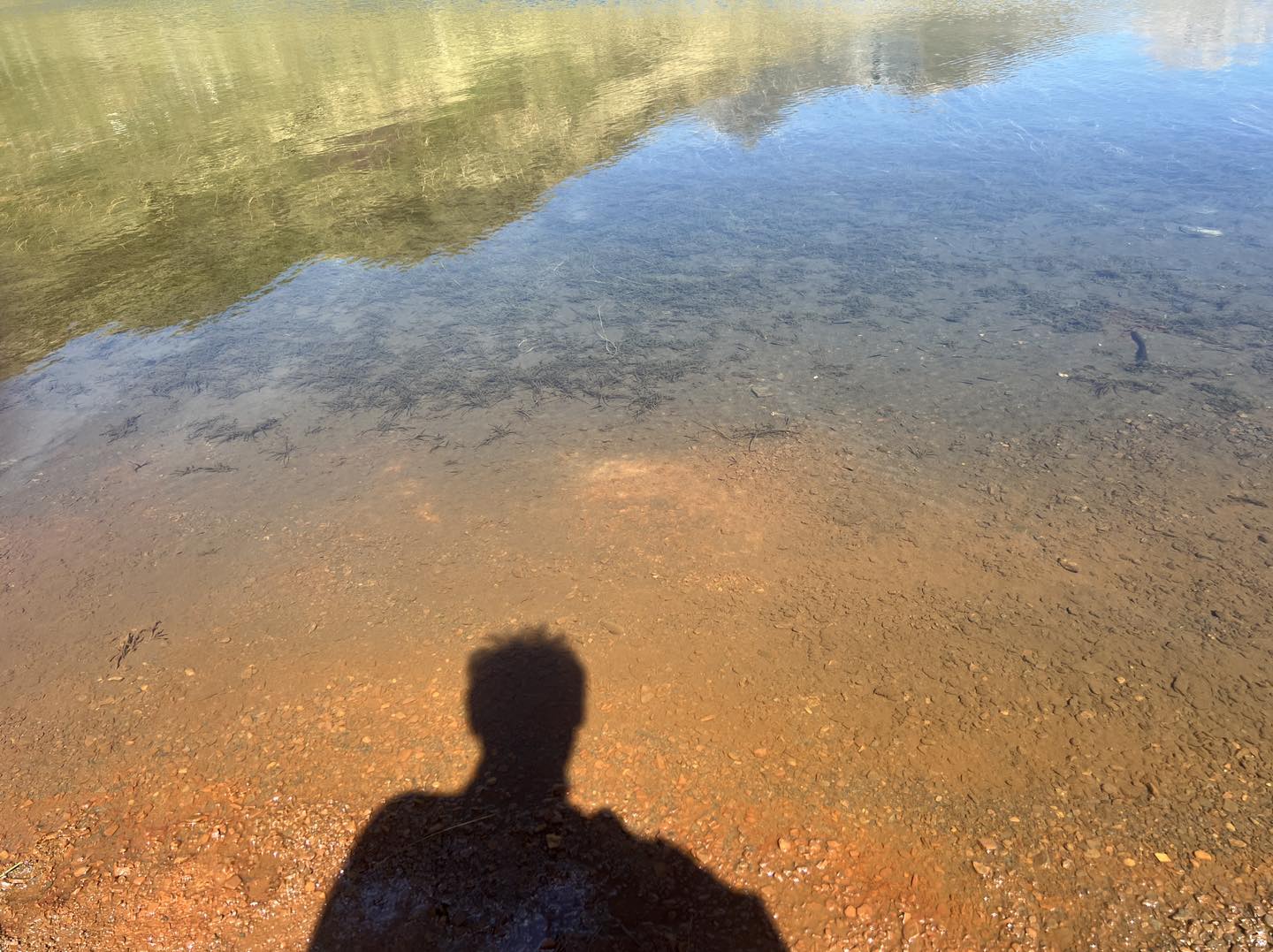 clicca l'immagine per ingrandire