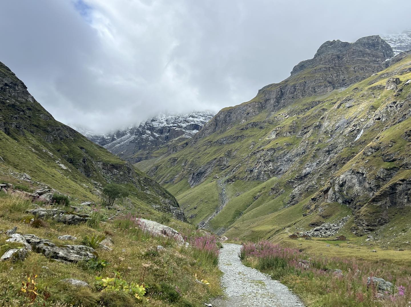 clicca l'immagine per ingrandire