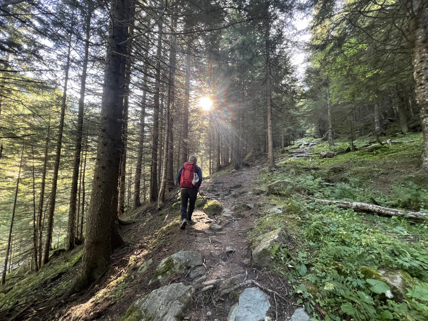 clicca l'immagine per ingrandire