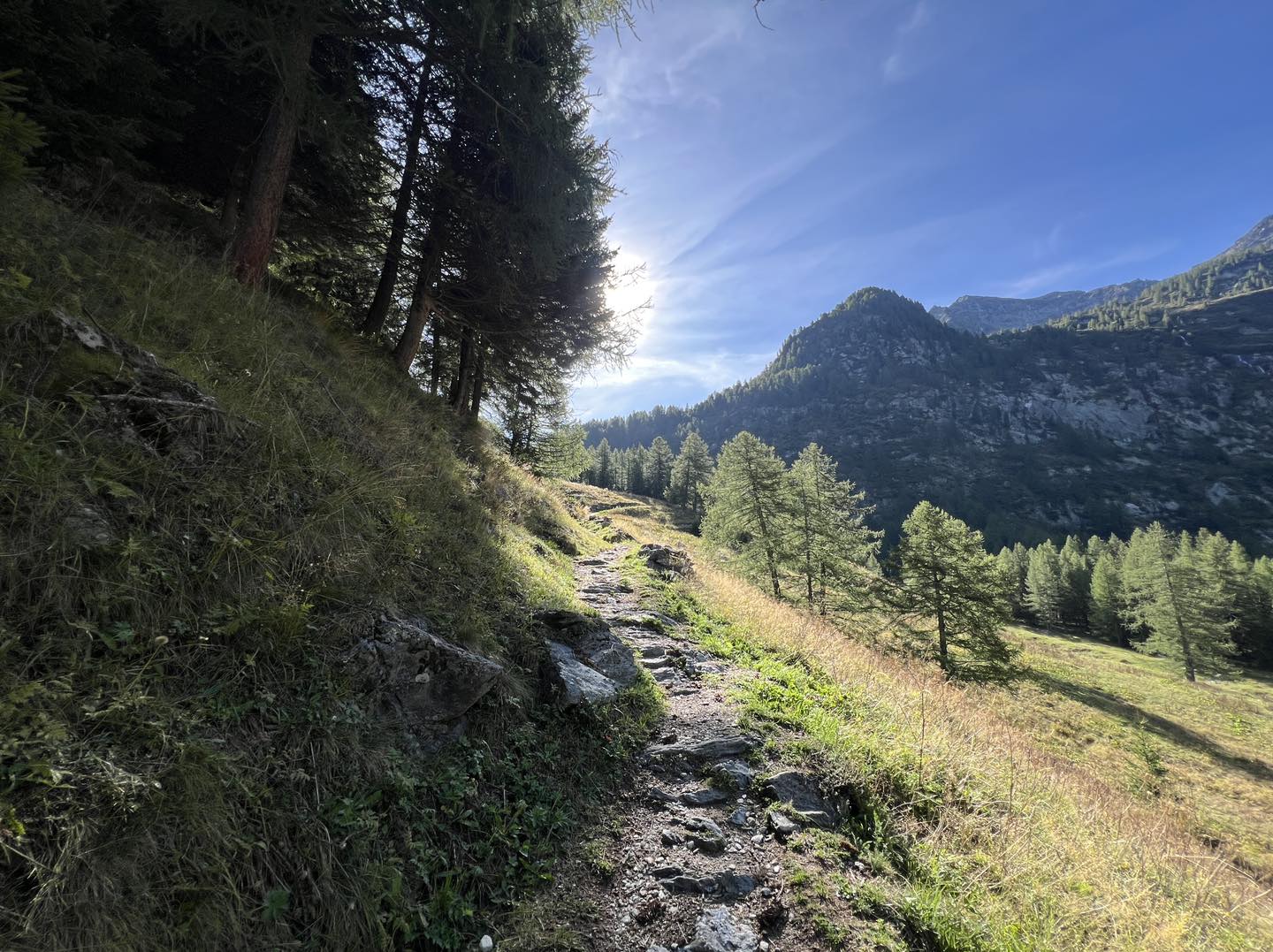 clicca l'immagine per ingrandire