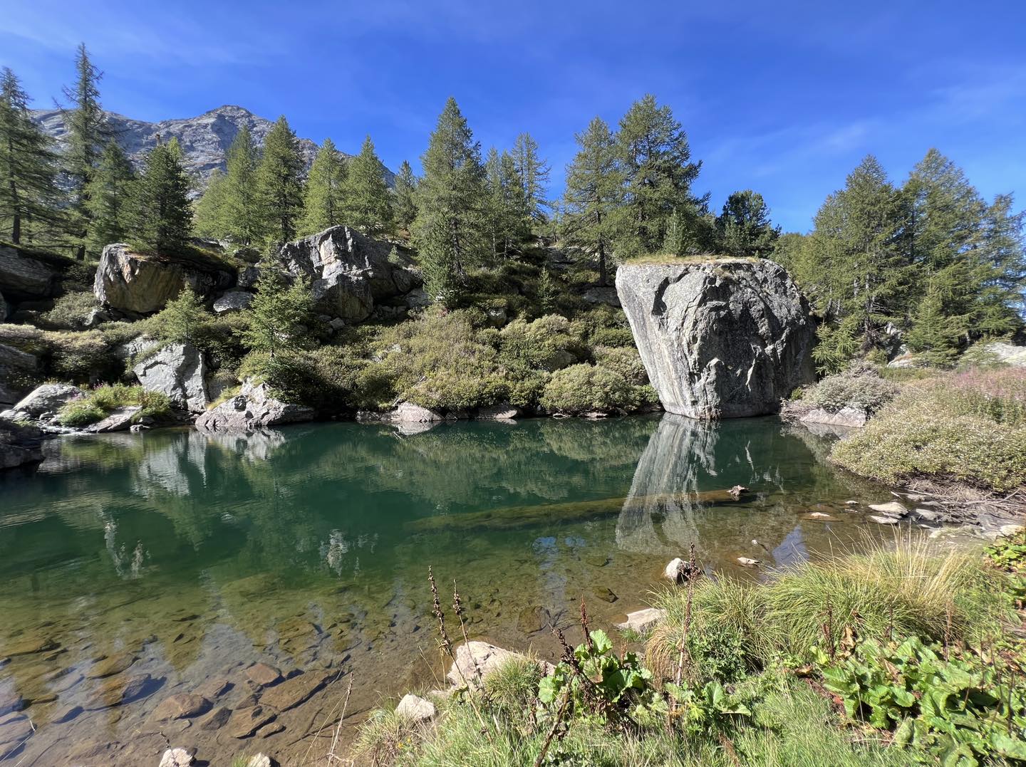 clicca l'immagine per ingrandire