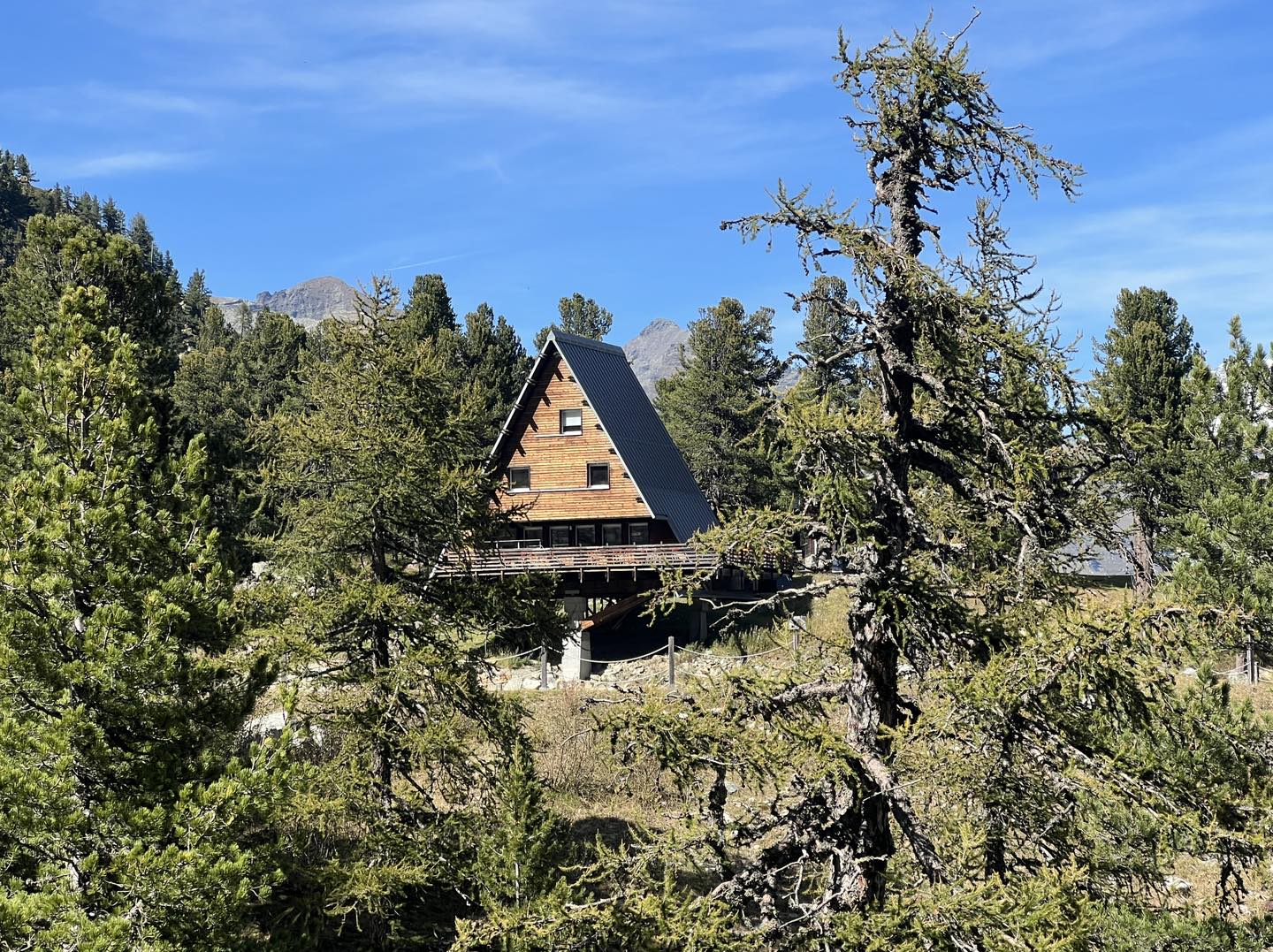 clicca l'immagine per ingrandire