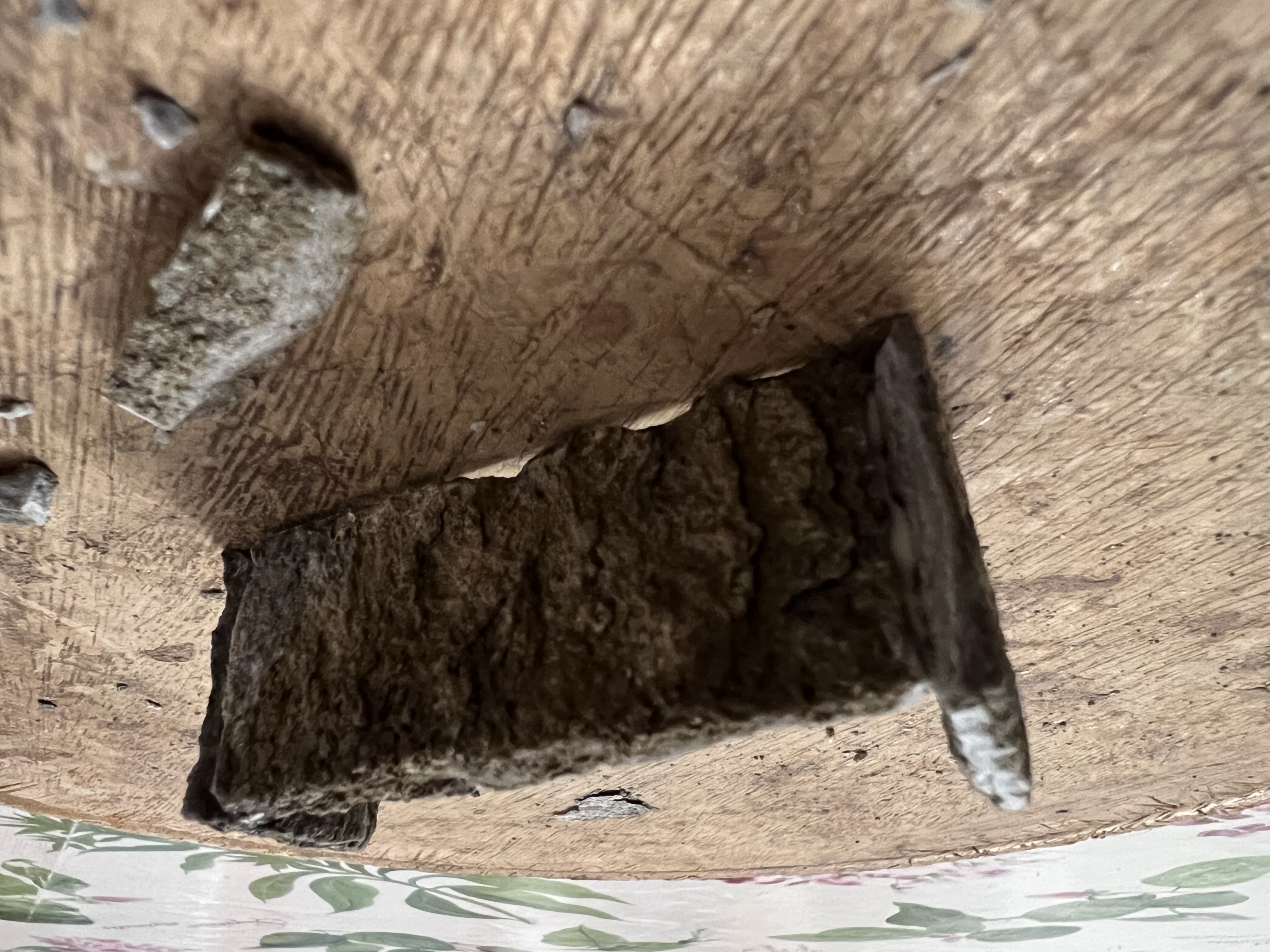 clicca l'immagine per ingrandire