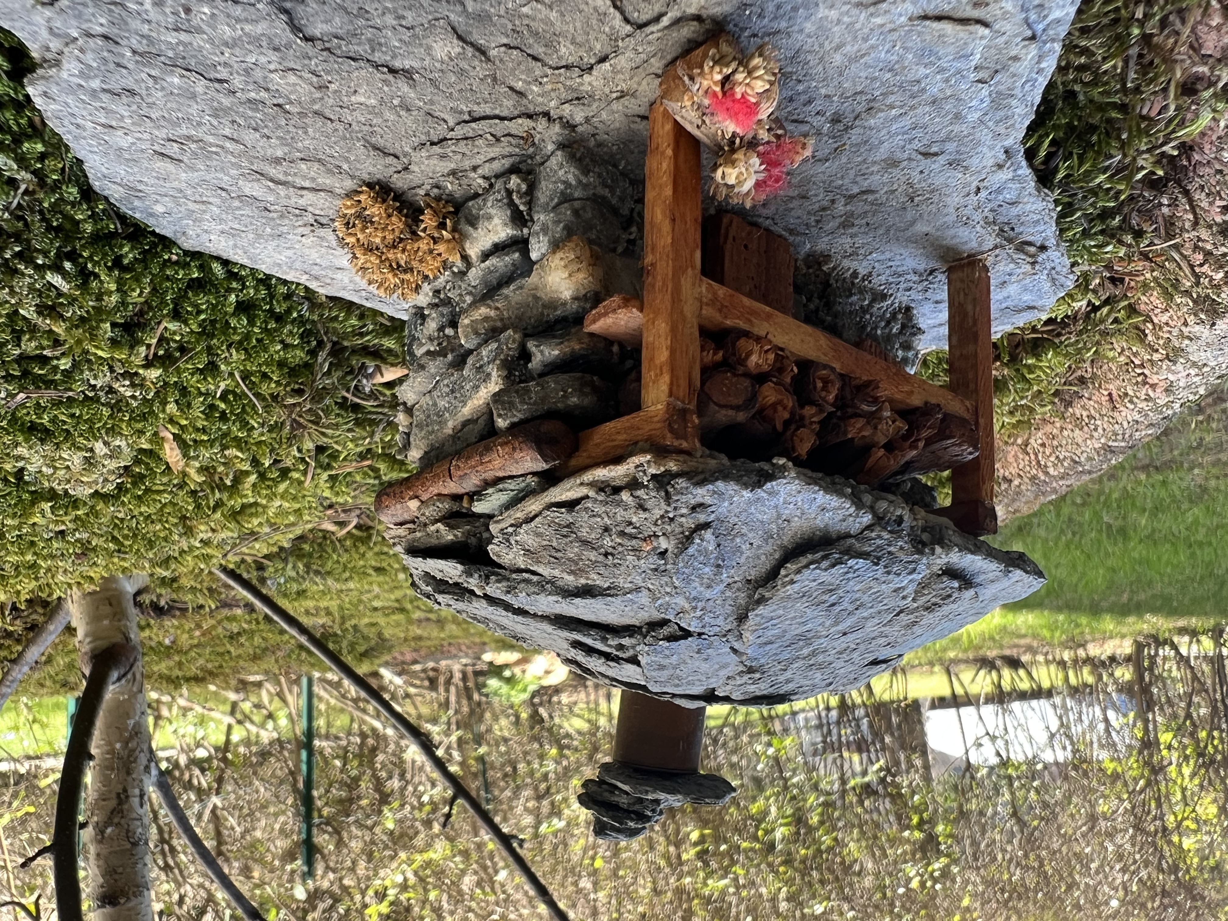 clicca l'immagine per ingrandire