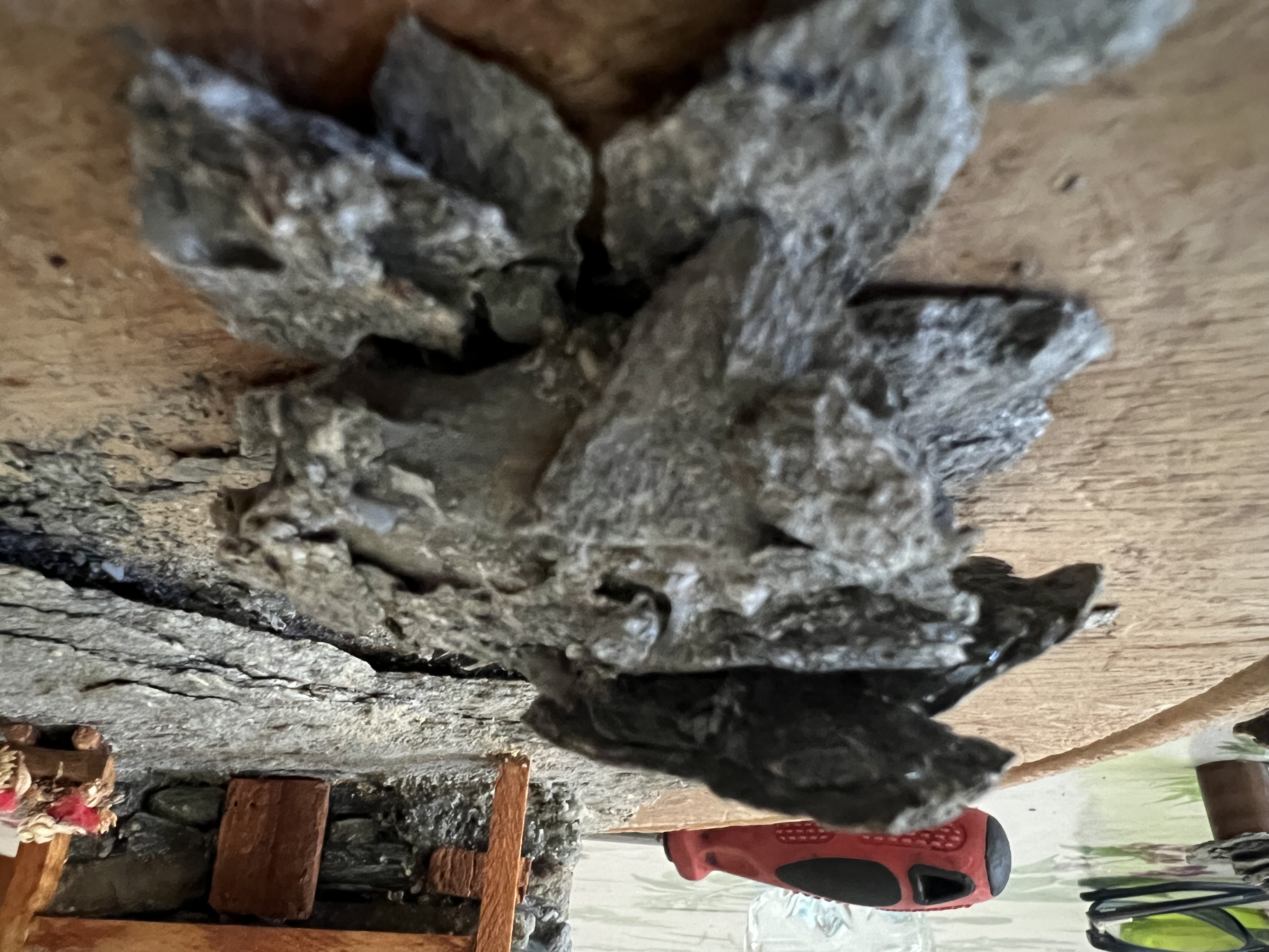 clicca l'immagine per ingrandire