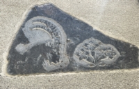 clicca l'immagine per ingrandire