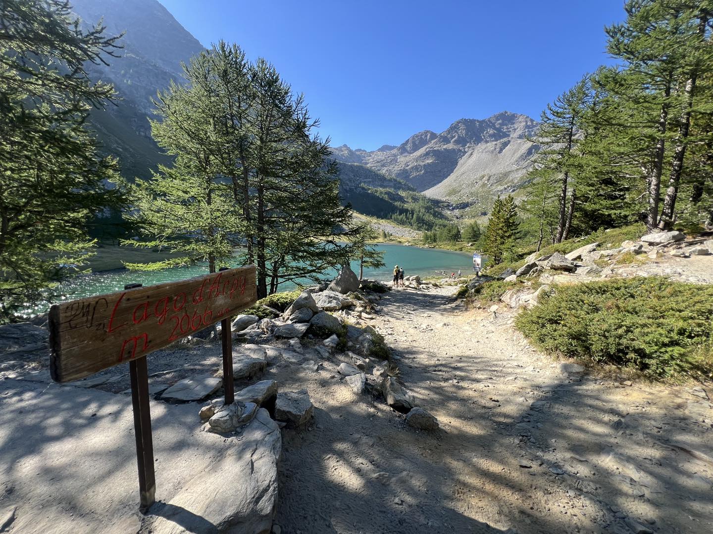 clicca l'immagine per ingrandire