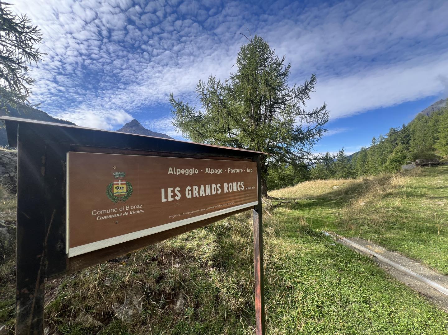 clicca l'immagine per ingrandire