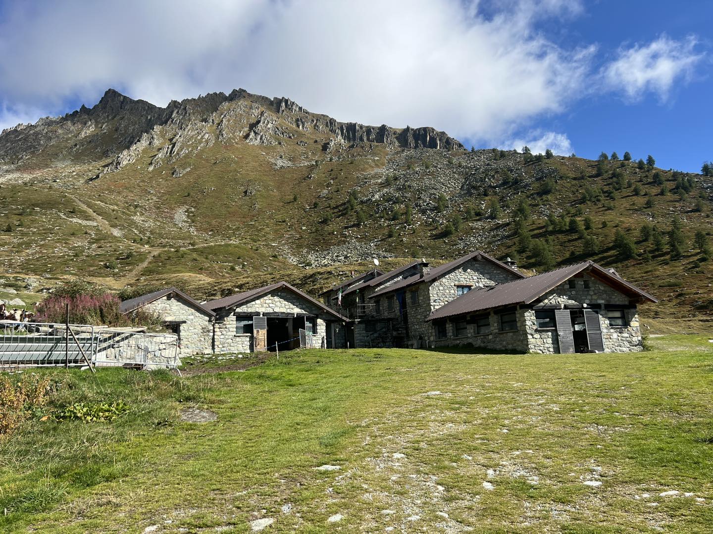 clicca l'immagine per ingrandire