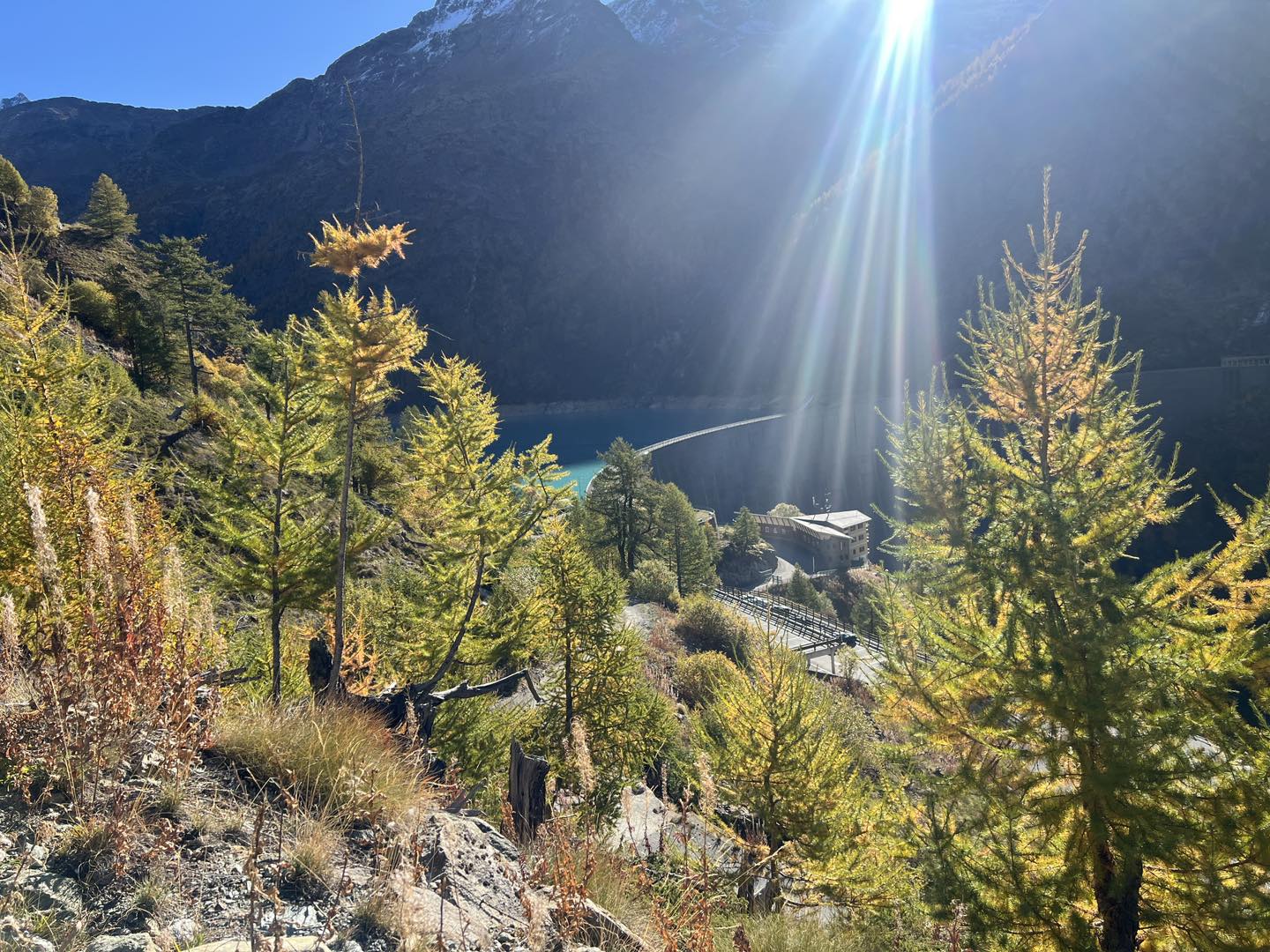 clicca l'immagine per ingrandire