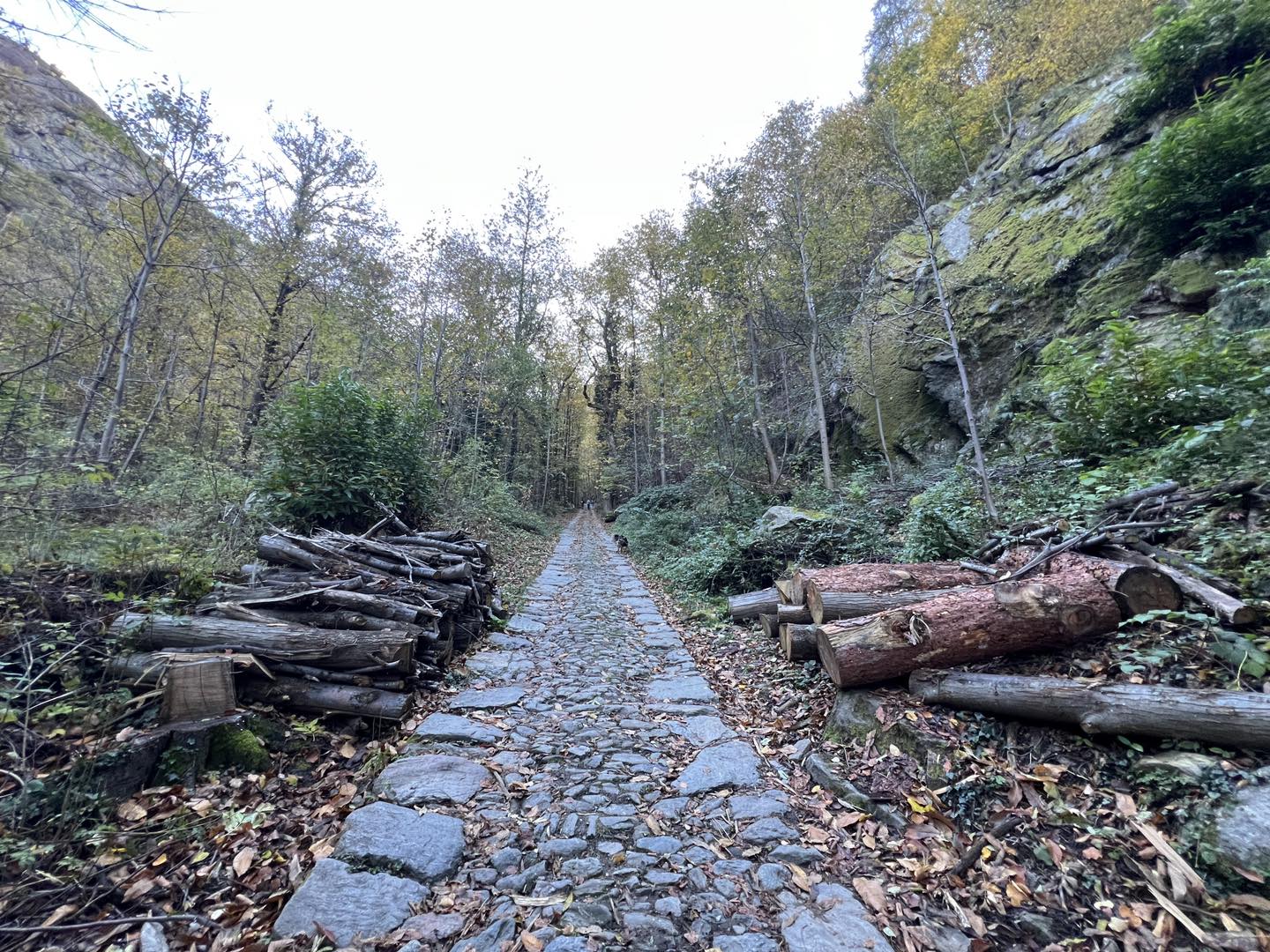 clicca l'immagine per ingrandire