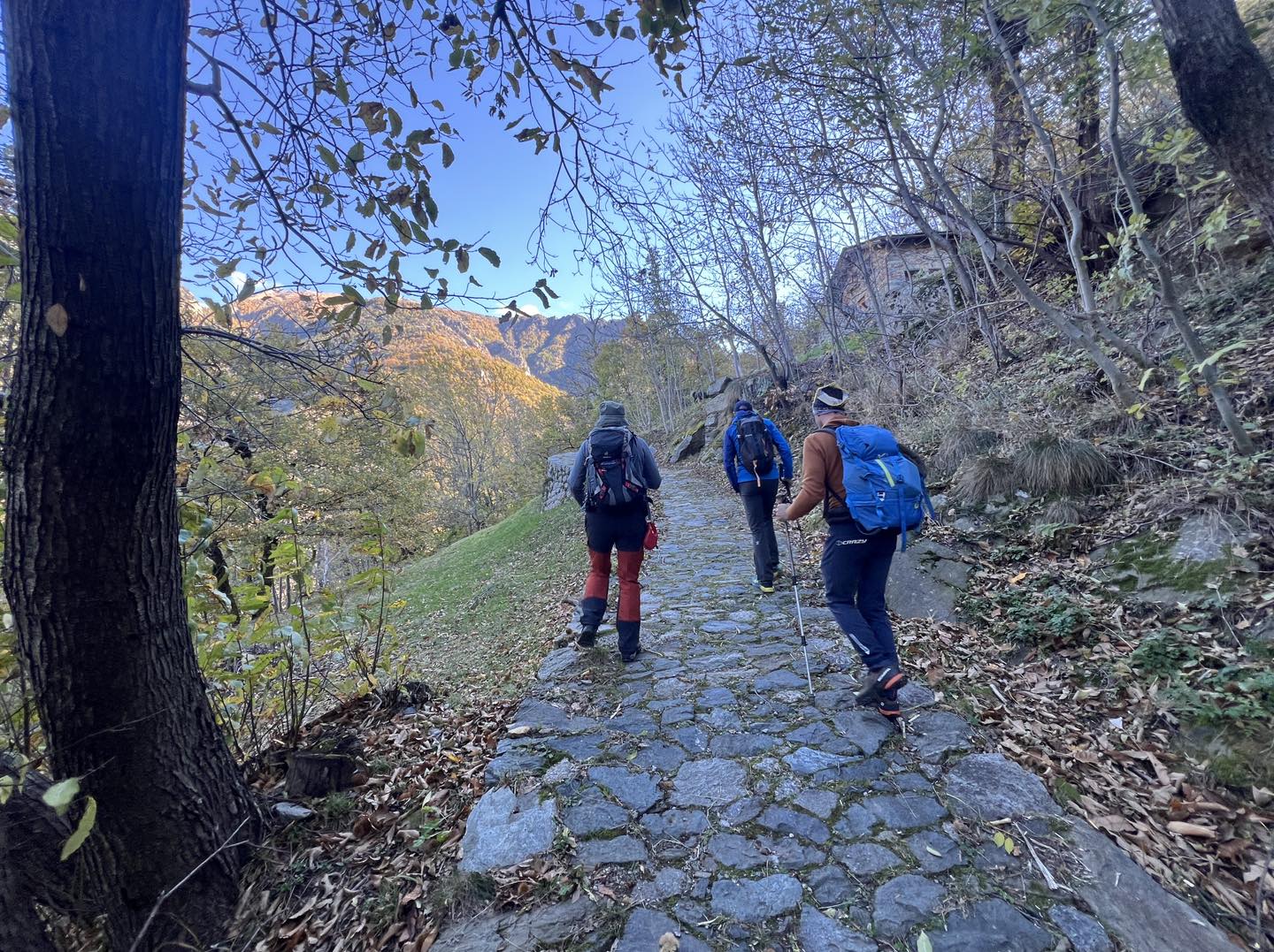 clicca l'immagine per ingrandire