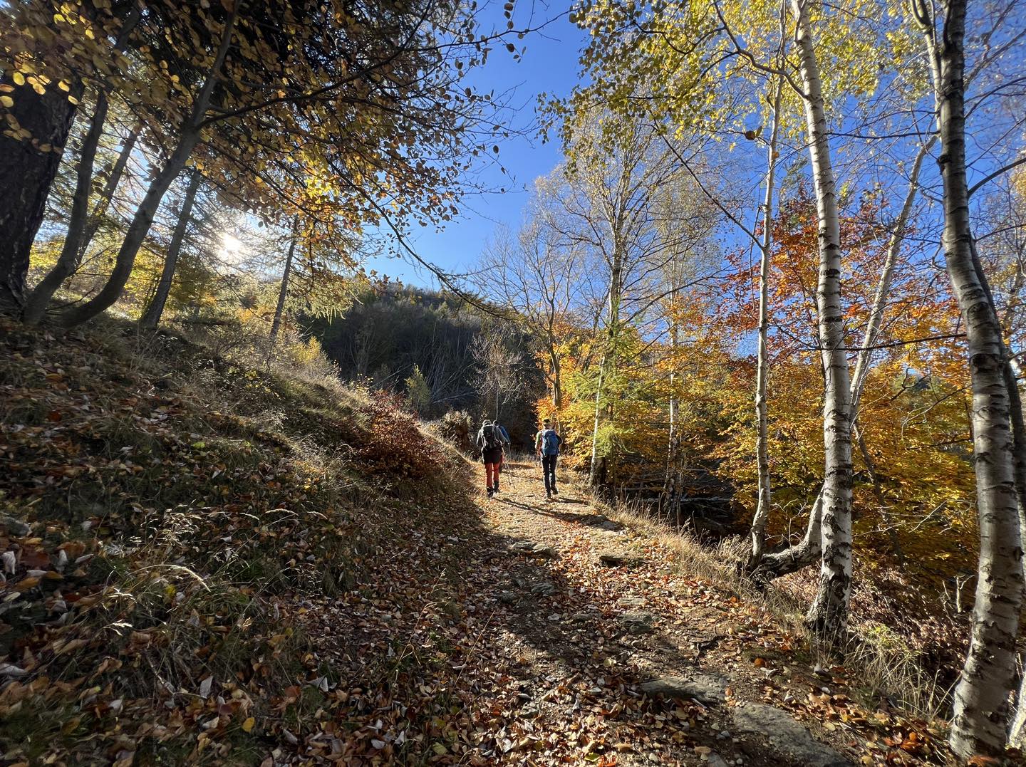 clicca l'immagine per ingrandire