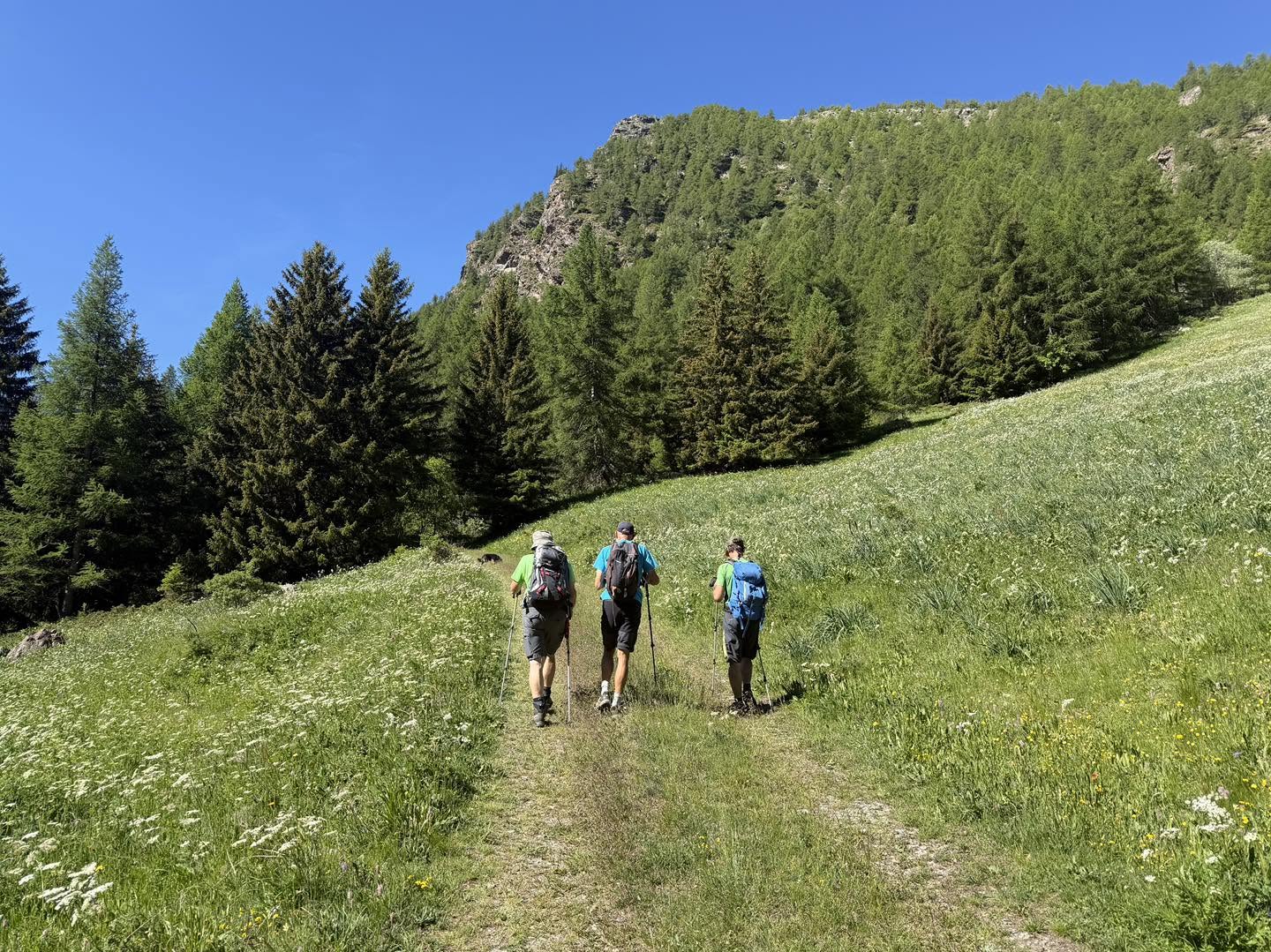 clicca l'immagine per ingrandire
