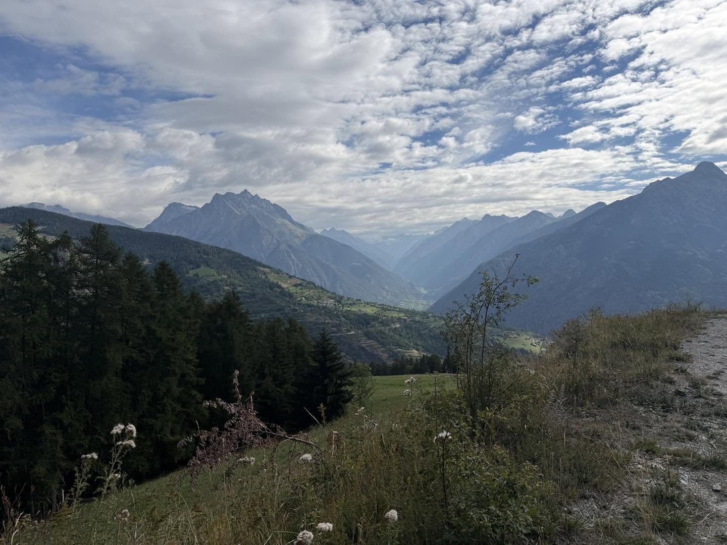 clicca l'immagine per ingrandire
