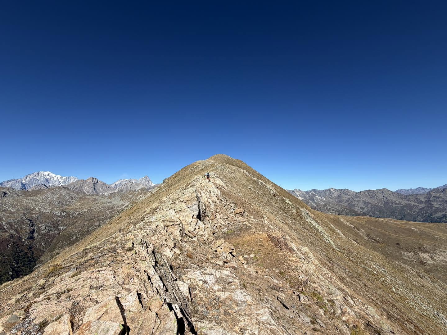 clicca l'immagine per ingrandire